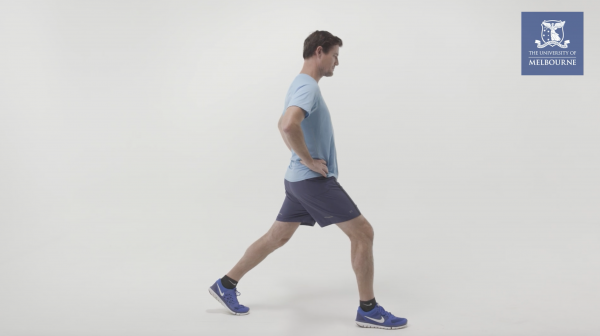 Lunge Mid