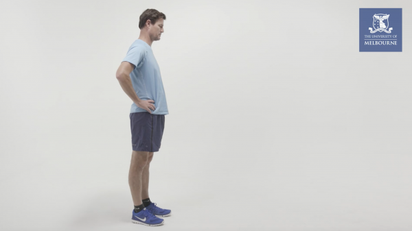 Lunge Start